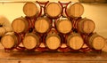 Wine cellar with wine barrels_2 Royalty Free Stock Photo