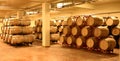 Wine cellar with wine barrels Royalty Free Stock Photo