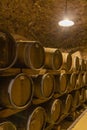 wine cellar with wooden barrels, Szekszard, Southern Transdanubia, Hungary Royalty Free Stock Photo