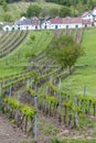 wine cellars with vineyards, Galgenberg, Lower Austria, Austria Royalty Free Stock Photo