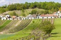 wine cellars with vineyards, Galgenberg, Lower Austria, Austria Royalty Free Stock Photo