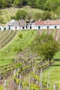 wine cellars with vineyards, Galgenberg, Lower Austria, Austria Royalty Free Stock Photo