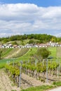 wine cellars with vineyards, Galgenberg, Lower Austria, Austria Royalty Free Stock Photo