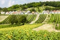 wine cellars with vineyards, Galgenberg, Lower Austria, Austria Royalty Free Stock Photo