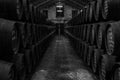 Wine celler with old barrels Royalty Free Stock Photo