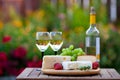 Wine & Cheese Garden Party Royalty Free Stock Photo
