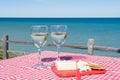 Wine and cheese at lakeside picnic area Royalty Free Stock Photo