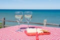 Wine and cheese at lakeside picnic area Royalty Free Stock Photo