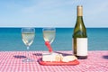 Wine and cheese at lakeside picnic area Royalty Free Stock Photo