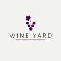 Wine club logo design. Logotype with grape and leave