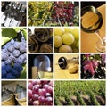Wine collage Royalty Free Stock Photo
