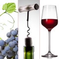 Wine collage - grape, bottle and glass