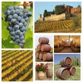 Wine collage Royalty Free Stock Photo