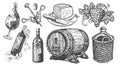 Wine collection. Viticulture concept vintage illustration. Set of hand drawn sketches for restaurant menu