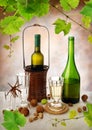 Wine composition Royalty Free Stock Photo