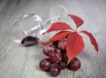 Wine composition: bunch of red grapes, wineglass and autumn leaves Royalty Free Stock Photo