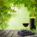 Wine concept. Bottle, glass of red wine and grapes on gray wooden background with green grapevine Royalty Free Stock Photo