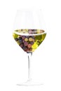 Wine concept. Vineyard in a glass collage, isolated on a white background Royalty Free Stock Photo