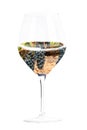 Wine concept. Vineyard in a glass collage, isolated on a white background Royalty Free Stock Photo