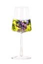 Wine concept. Vineyard in a power glass collage, isolated on a white background Royalty Free Stock Photo