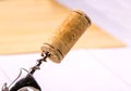 Wine cork and corkscrew close-up.