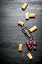 Wine corks with corkscrew and grape branch.