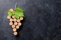 Wine corks grape shape and vine Royalty Free Stock Photo