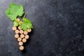 Wine corks grape shape and vine Royalty Free Stock Photo