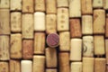 Wine corks made of wood from expensive wines Royalty Free Stock Photo