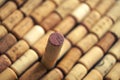 Wine corks made of wood from expensive wines Royalty Free Stock Photo