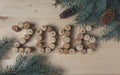 Wine corks and pine branches Royalty Free Stock Photo