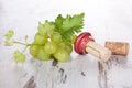 Wine corks, white grapes and wine leaves. Royalty Free Stock Photo