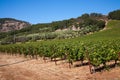 Wine Country Royalty Free Stock Photo
