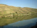 Wine country Douro valley winemaking