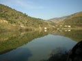 Wine country Douro valley winemaking relection