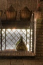 Wine demijohns in the barn
