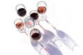 Wine of different varieties in glasses on a white background Royalty Free Stock Photo