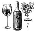 Wine drink concept. Bottle of wine, wineglass, corkscrew and bunch of grapes. Sketch vintage vector illustration Royalty Free Stock Photo