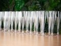 Wine empty transperent glasses in row on bar table with green background. Festive concept Royalty Free Stock Photo