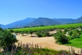 Wine farm, Chile Royalty Free Stock Photo