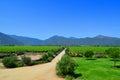 Wine farm, Chile Royalty Free Stock Photo