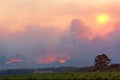 Wine farm close to forest fire