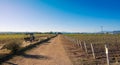 Wine farm dirt road with an antique tractor with sunny blue sky, countryside panorama, Mountains in the background