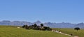 Wine Farm and Hottentots Holland Mountains Royalty Free Stock Photo