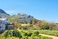 Wine farm next to road and mountains