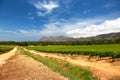 The Wine Farms in cape town , south africa