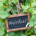 Wine festival Royalty Free Stock Photo
