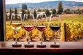 wine flight selection with vineyard landscape backdrop Royalty Free Stock Photo