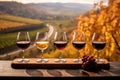 wine flight selection with vineyard landscape backdrop Royalty Free Stock Photo