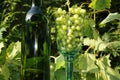 Wine glas and bottle